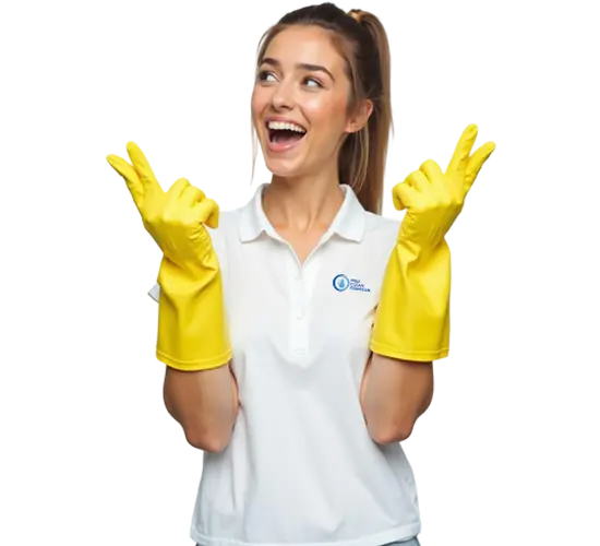 professioneel Schoonmaakbedrijf nederland