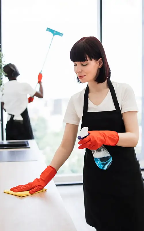 professioneel Schoonmaakbedrijf